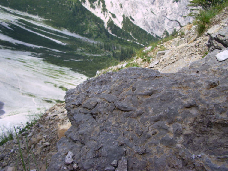 alpiner Muschelkalk